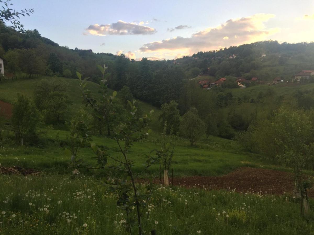 Dolores Tesanj Exteriér fotografie