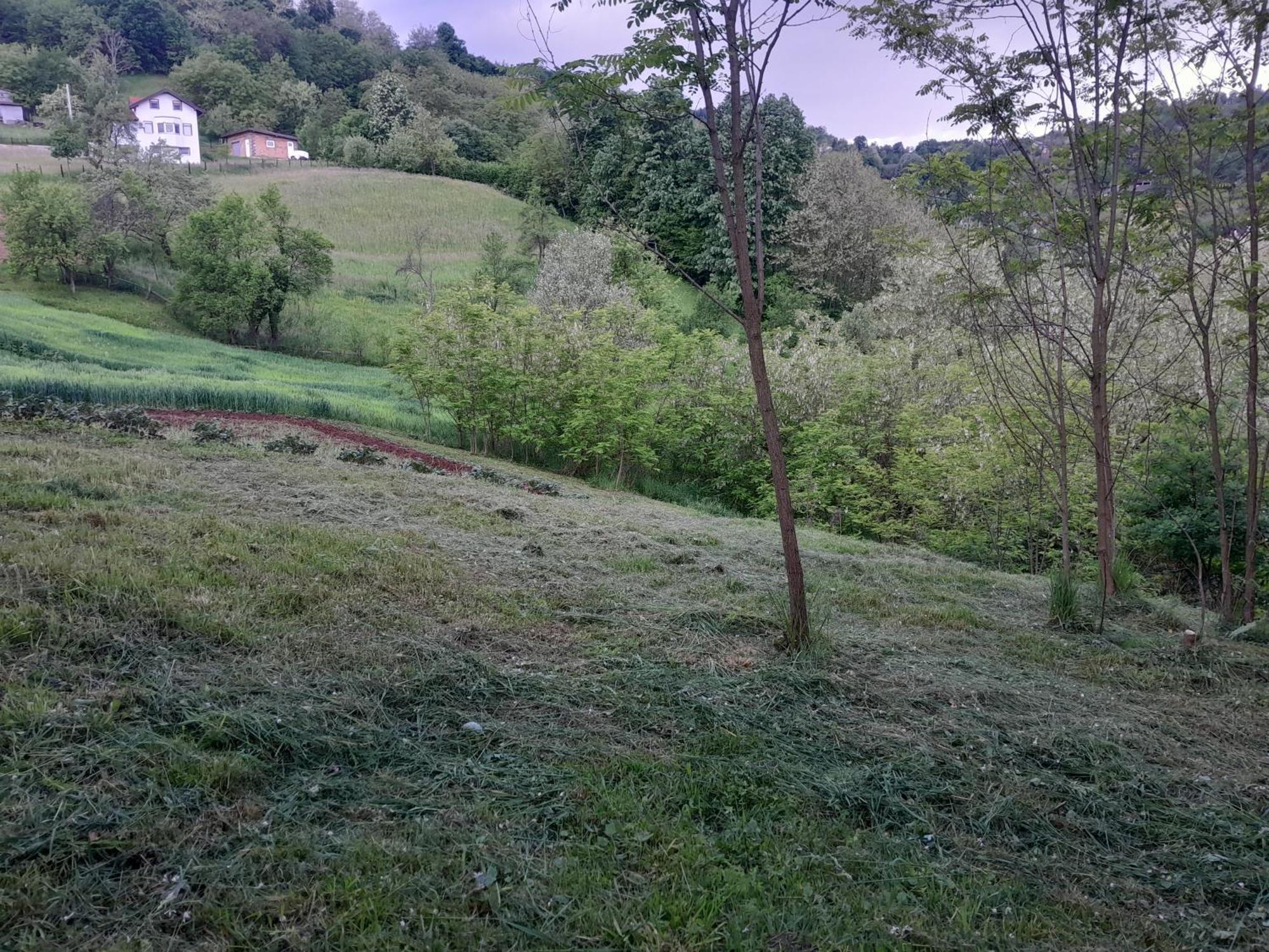Dolores Tesanj Exteriér fotografie