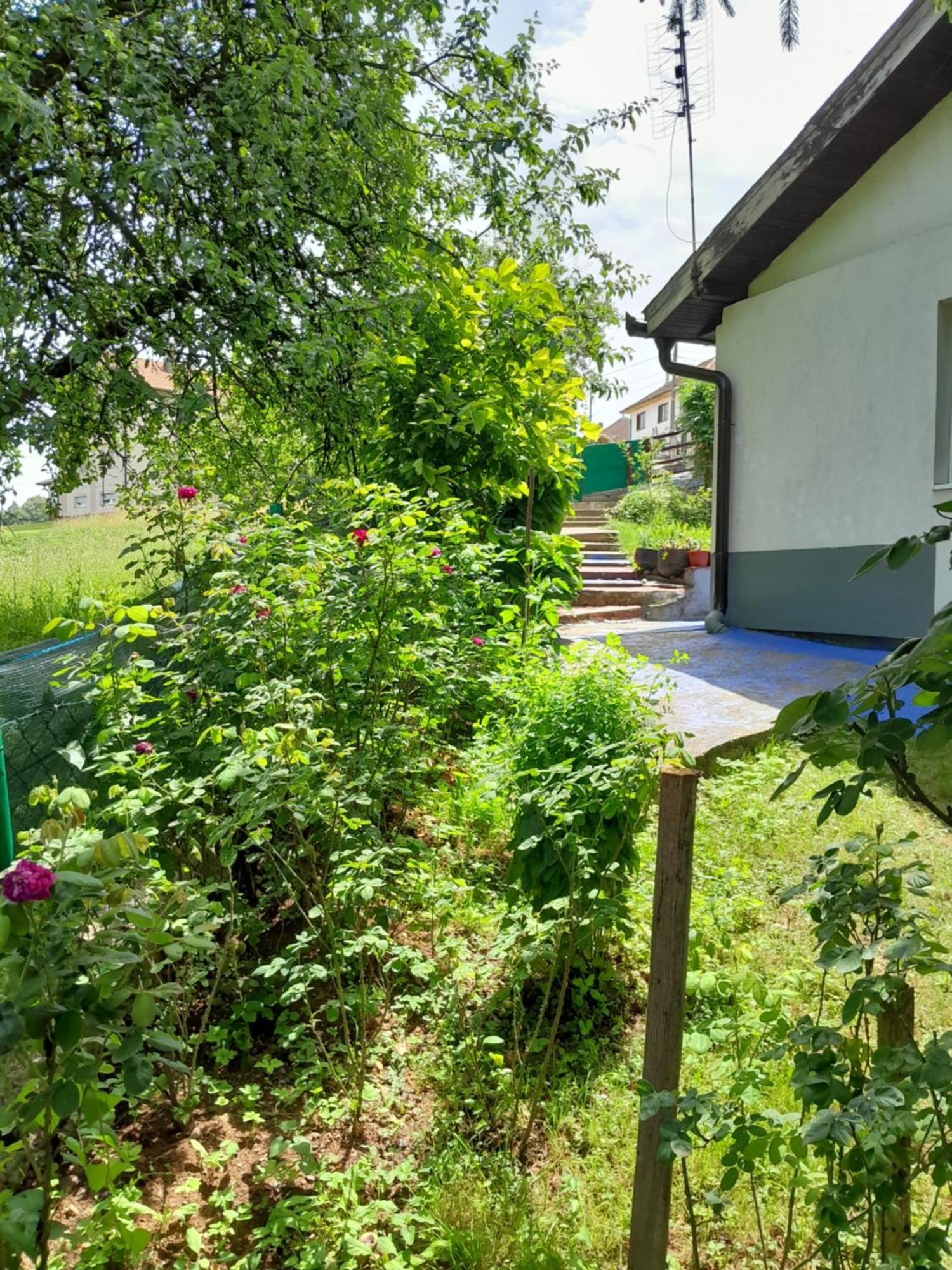 Dolores Tesanj Exteriér fotografie